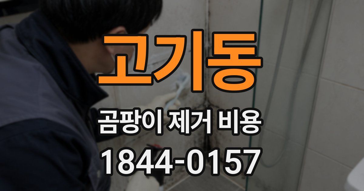 고기동 곰팡이 제거 비용