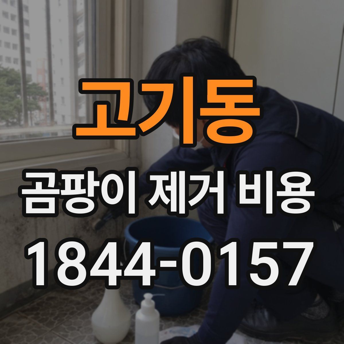 고기동 곰팡이 제거 비용