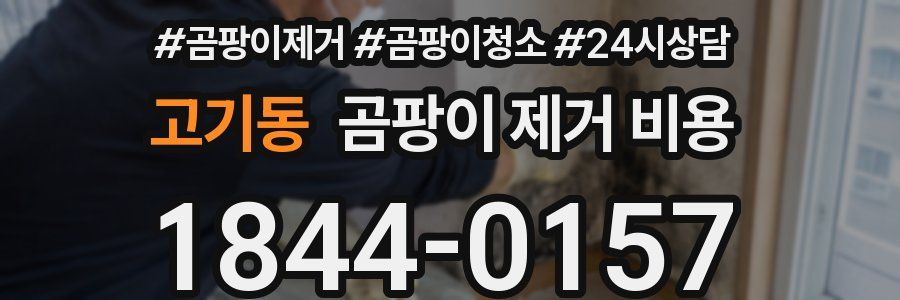 고기동 곰팡이 제거 비용