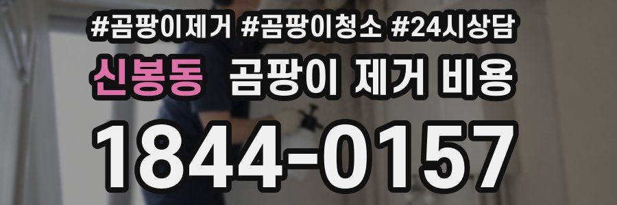 신봉동 곰팡이 제거 비용