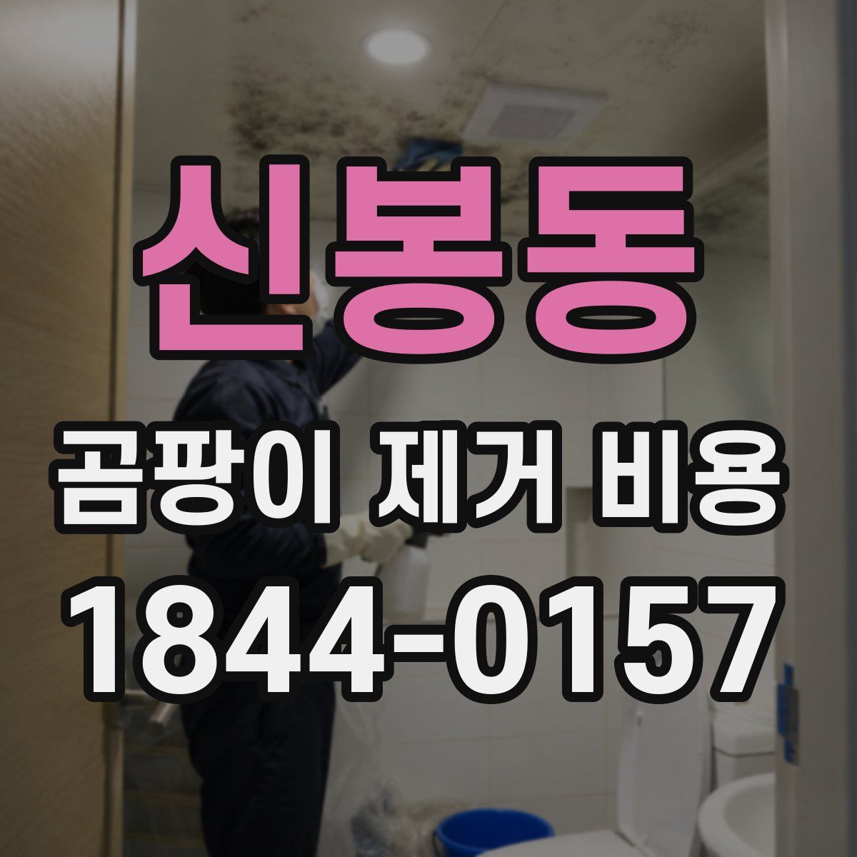 신봉동 곰팡이 제거 비용
