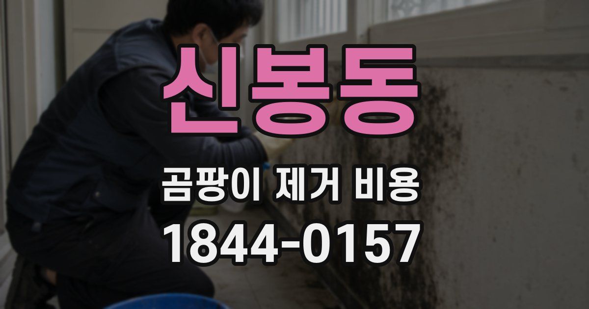 신봉동 곰팡이 제거 비용