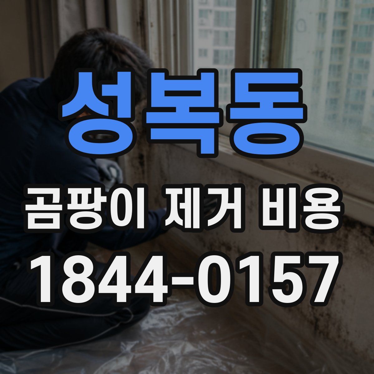 성복동 곰팡이 제거 비용