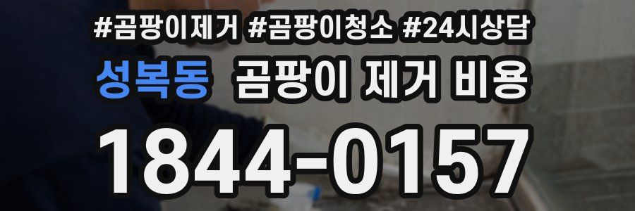 성복동 곰팡이 제거 비용