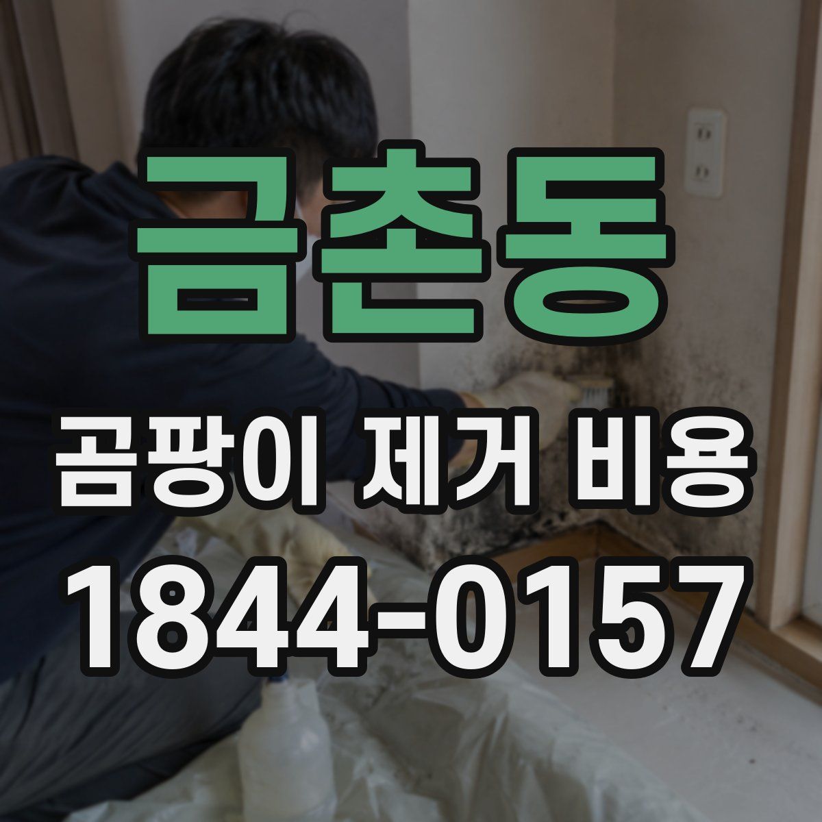 금촌동 곰팡이 제거 비용
