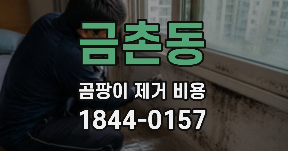 금촌동 곰팡이 제거 비용