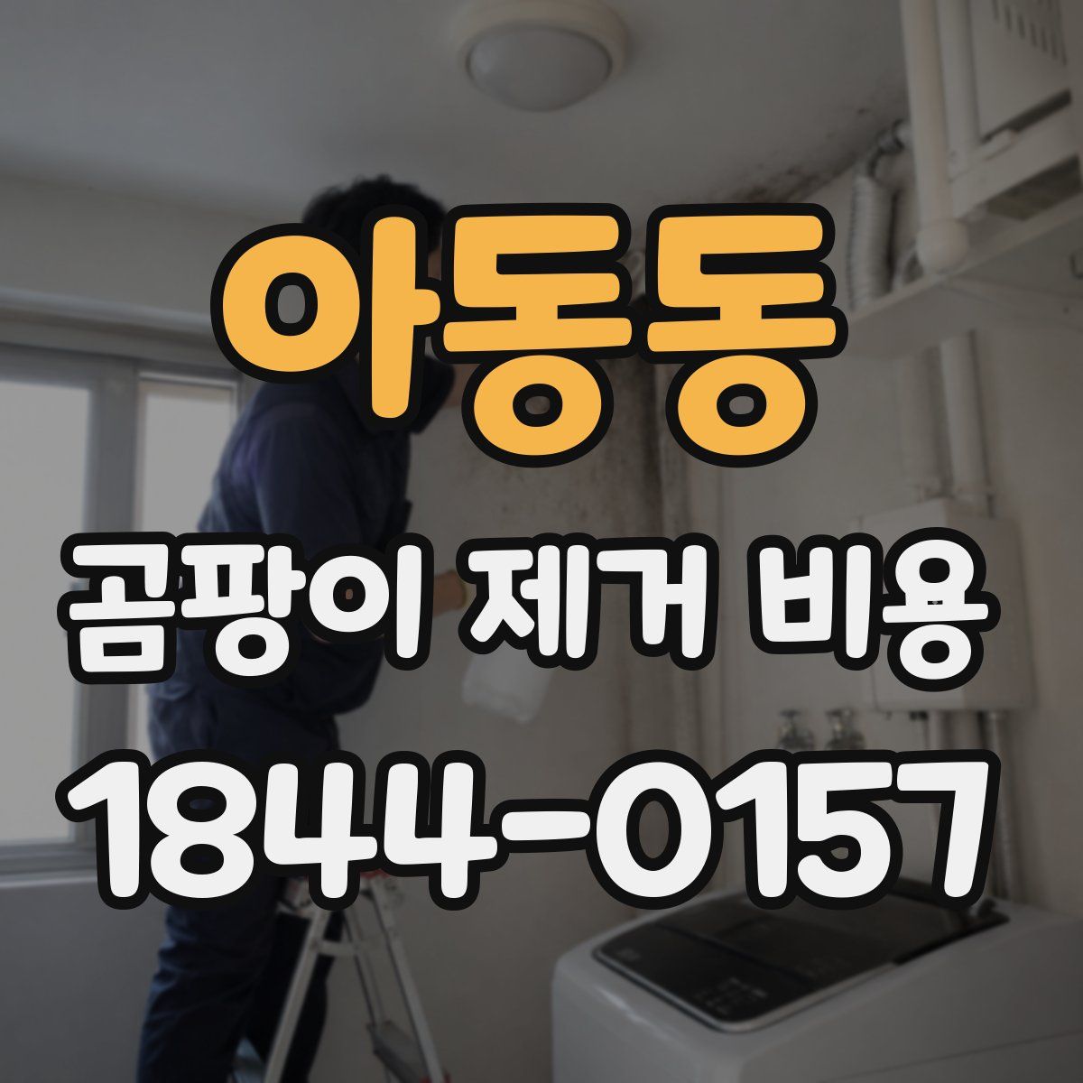아동동 곰팡이 제거 비용
