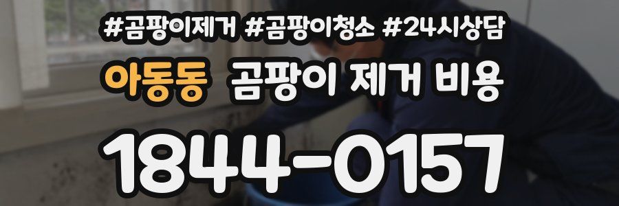 아동동 곰팡이 제거 비용