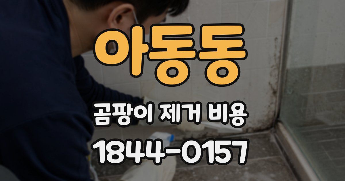 아동동 곰팡이 제거 비용