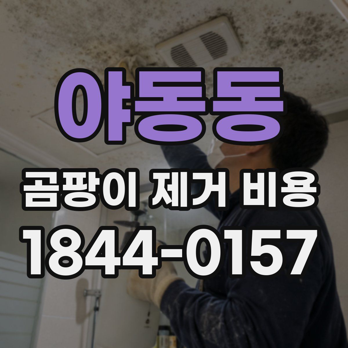 야동동 곰팡이 제거 비용