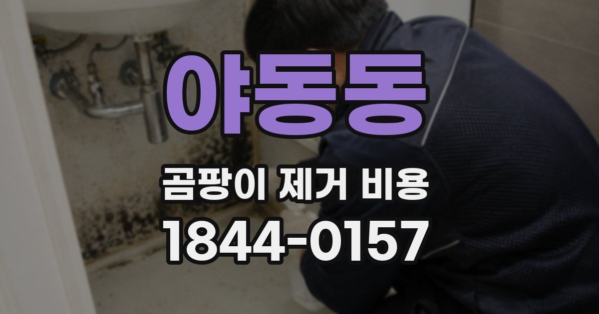 야동동 곰팡이 제거 비용