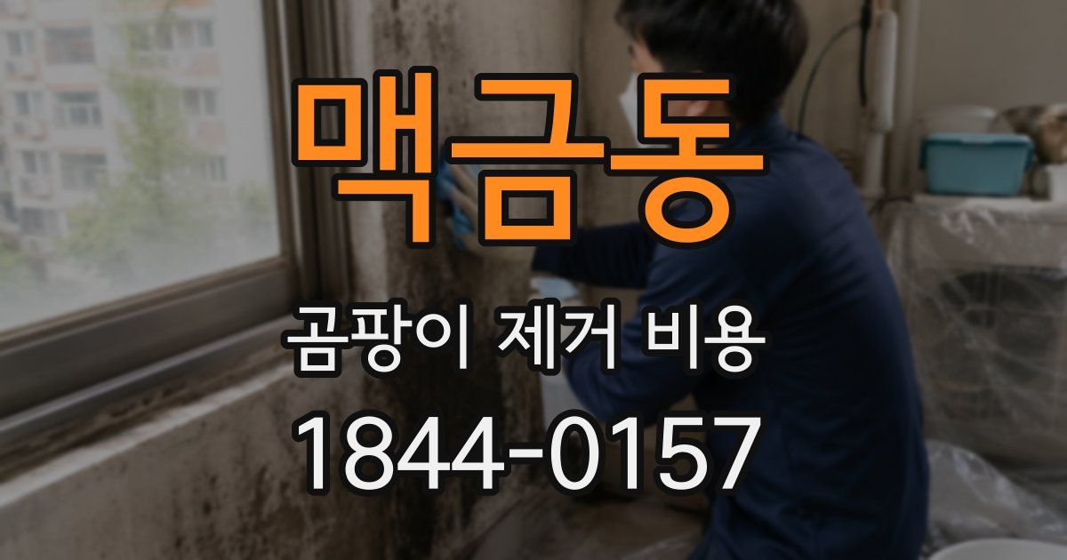 맥금동 곰팡이 제거 비용