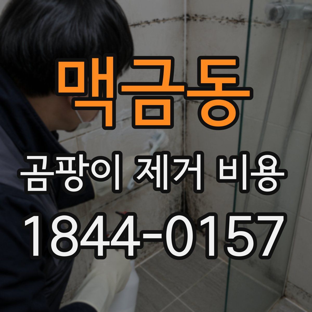 맥금동 곰팡이 제거 비용