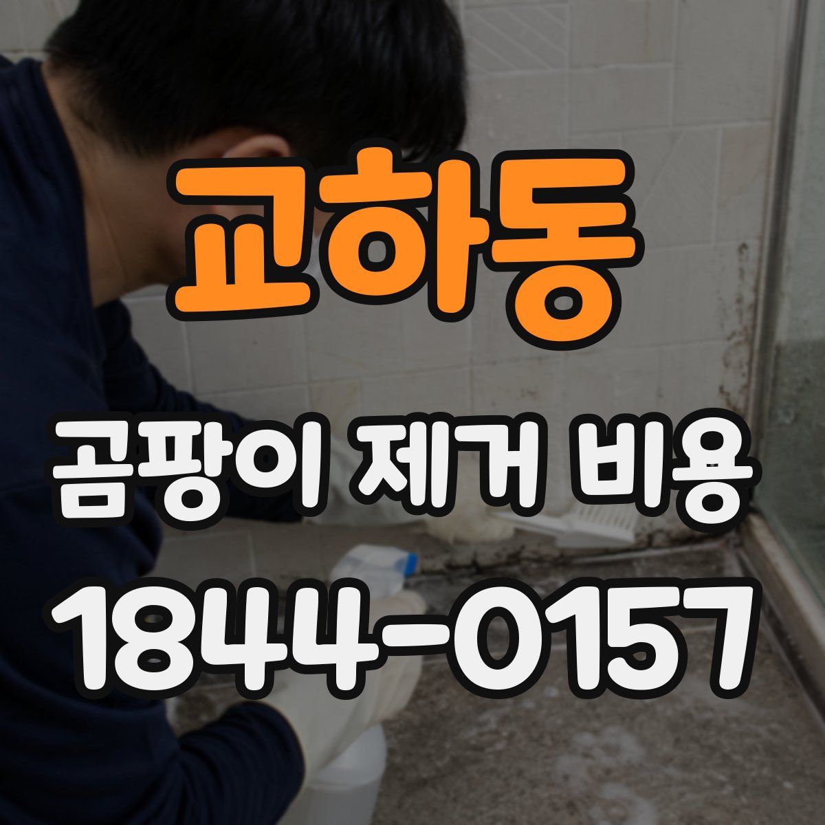 교하동 곰팡이 제거 비용