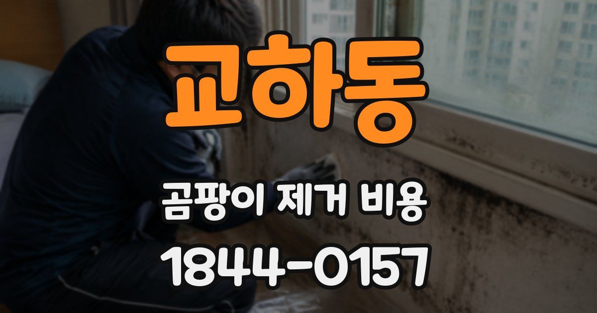교하동 곰팡이 제거 비용