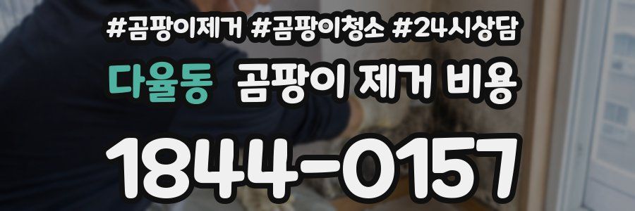 다율동 곰팡이 제거 비용