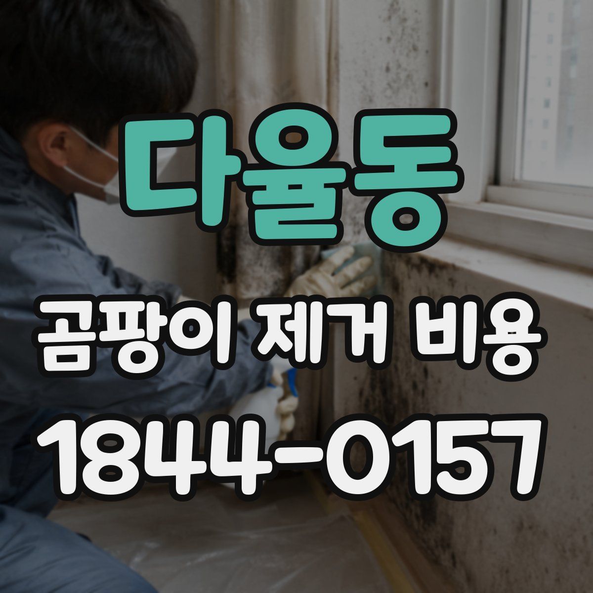 다율동 곰팡이 제거 비용