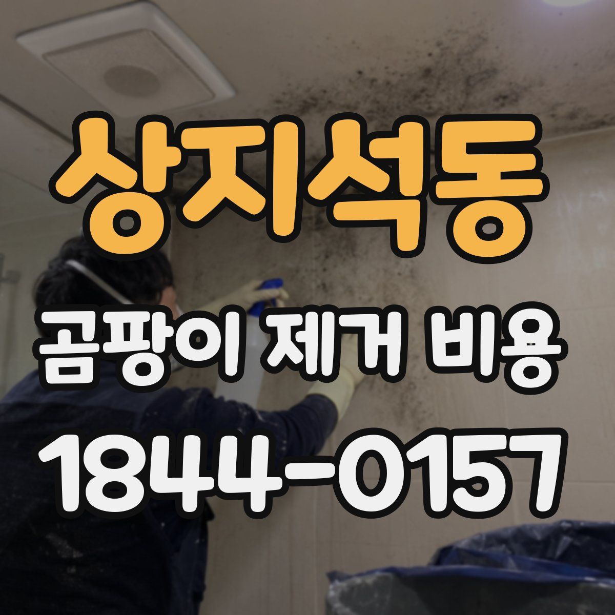 상지석동 곰팡이 제거 비용