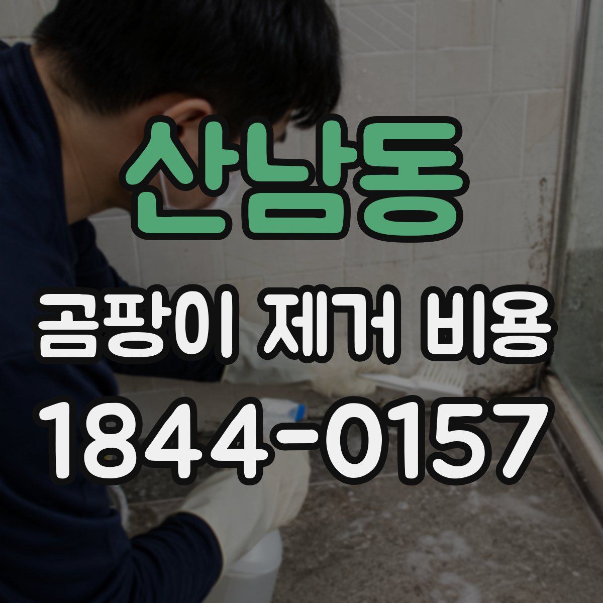산남동 곰팡이 제거 비용