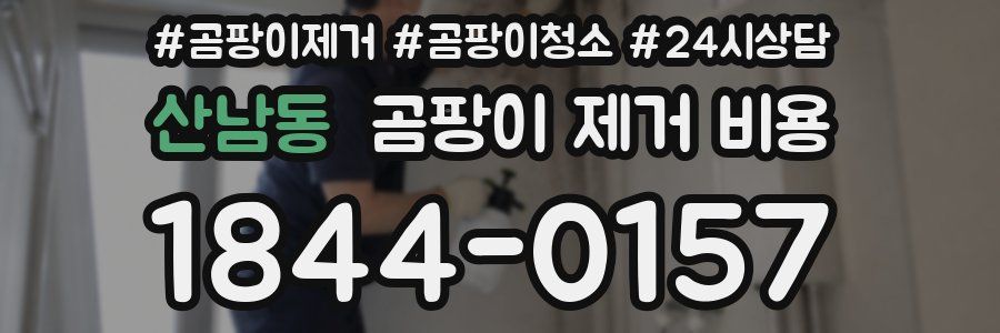 산남동 곰팡이 제거 비용