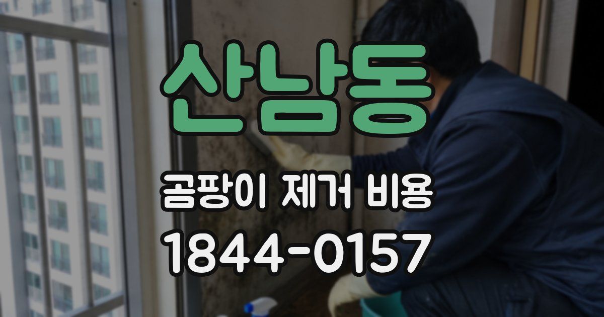 산남동 곰팡이 제거 비용