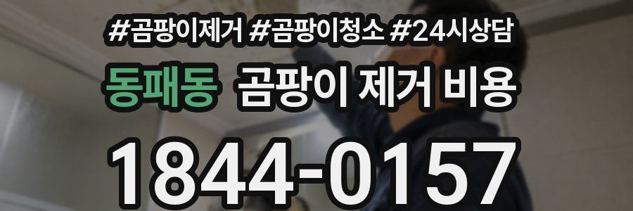 동패동 곰팡이 제거 비용