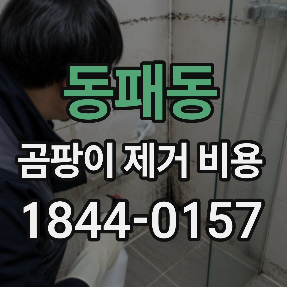 동패동 곰팡이 제거 비용