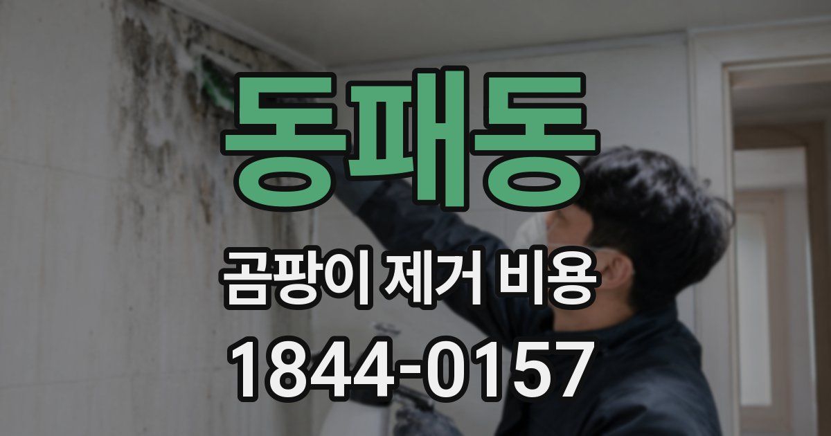 동패동 곰팡이 제거 비용
