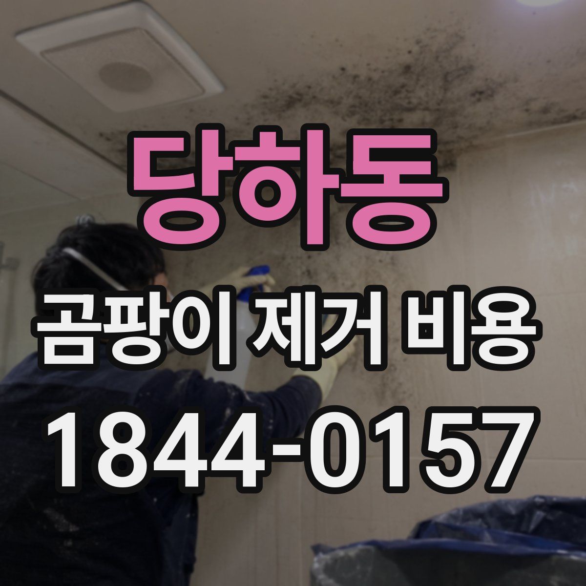 당하동 곰팡이 제거 비용