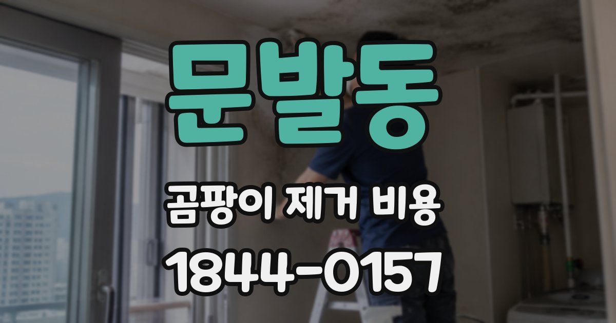 문발동 곰팡이 제거 비용