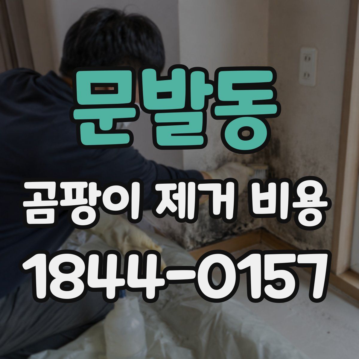 문발동 곰팡이 제거 비용