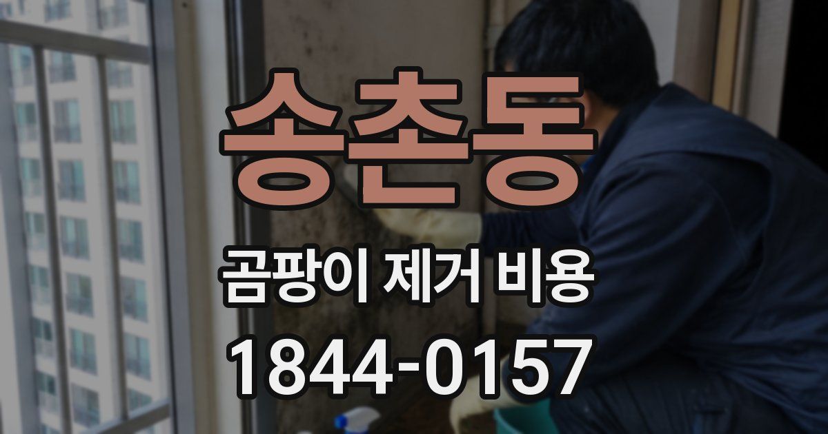 송촌동 곰팡이 제거 비용