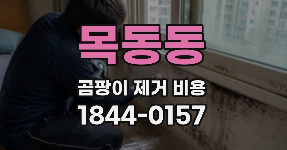 목동동 곰팡이 제거 비용