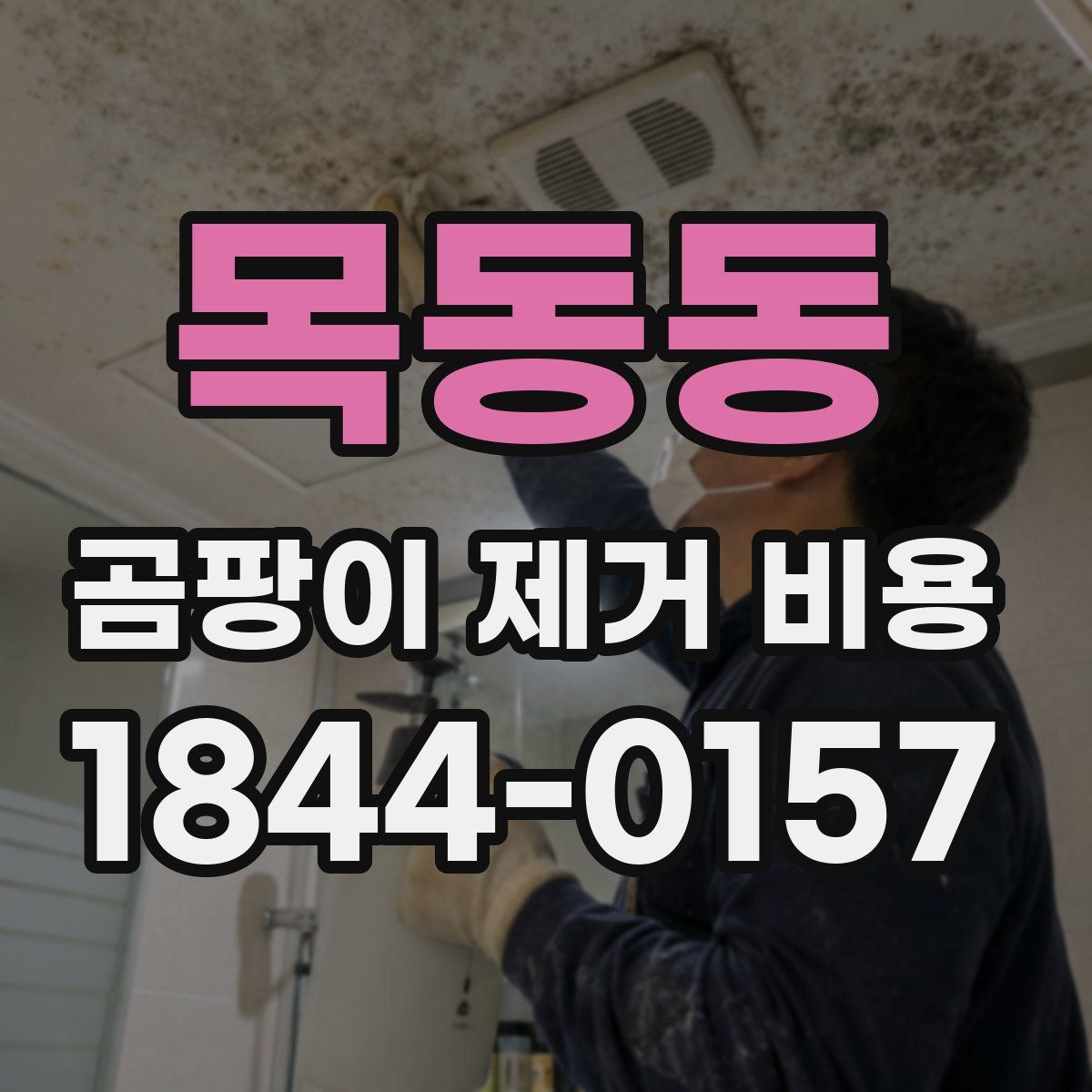 목동동 곰팡이 제거 비용
