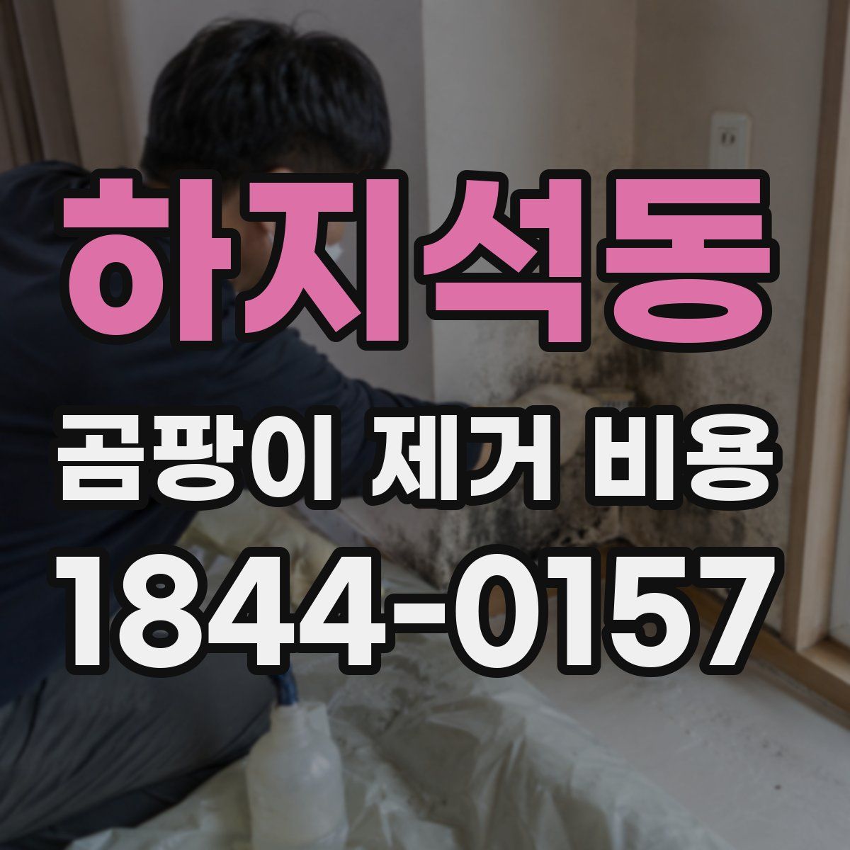 하지석동 곰팡이 제거 비용