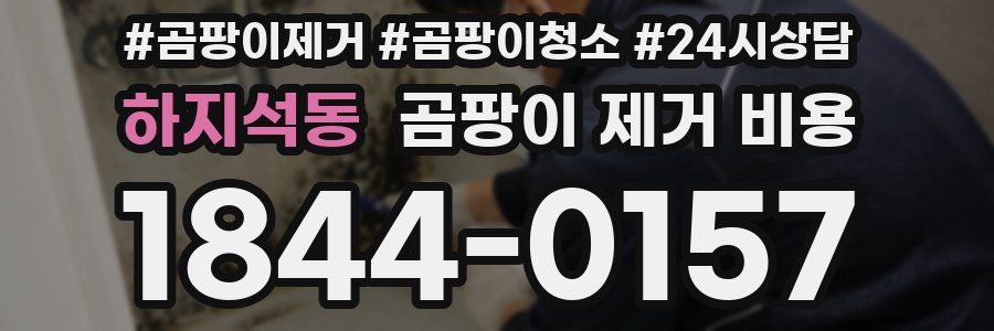 하지석동 곰팡이 제거 비용