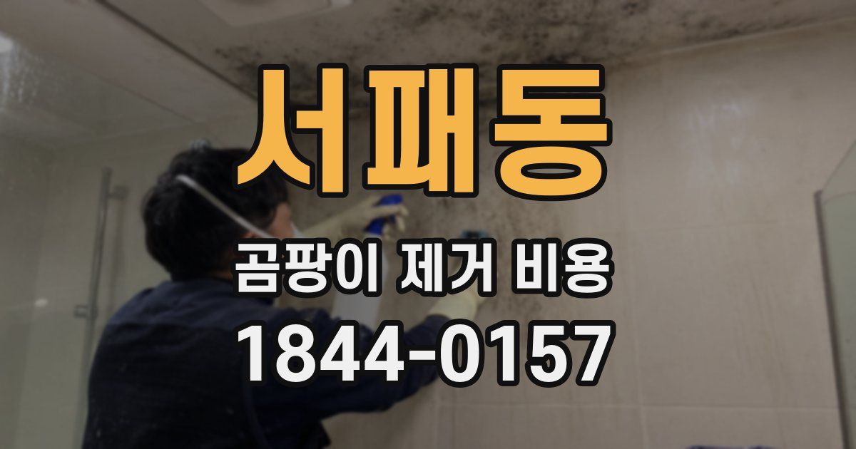 서패동 곰팡이 제거 비용