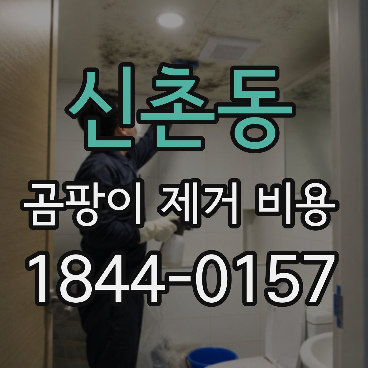 신촌동 곰팡이 제거 비용