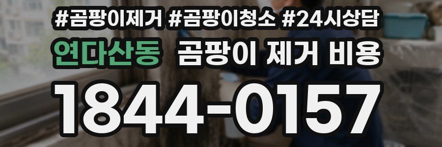 연다산동 곰팡이 제거 비용