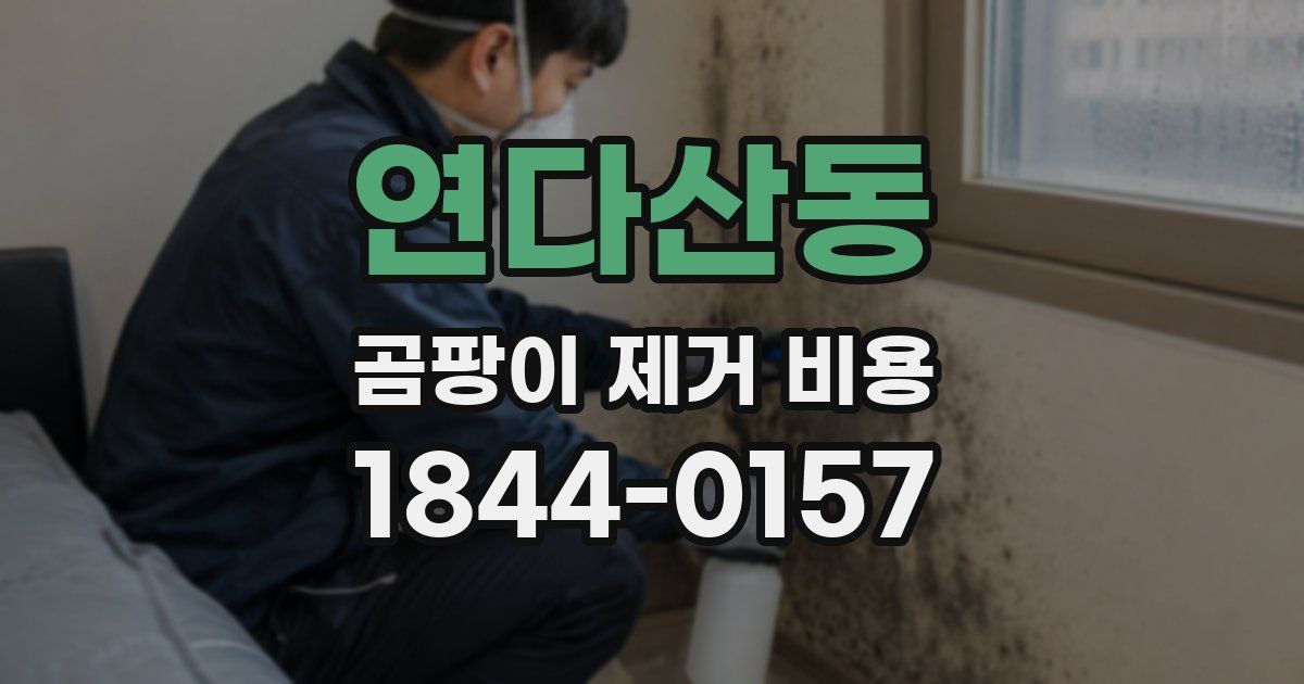 연다산동 곰팡이 제거 비용