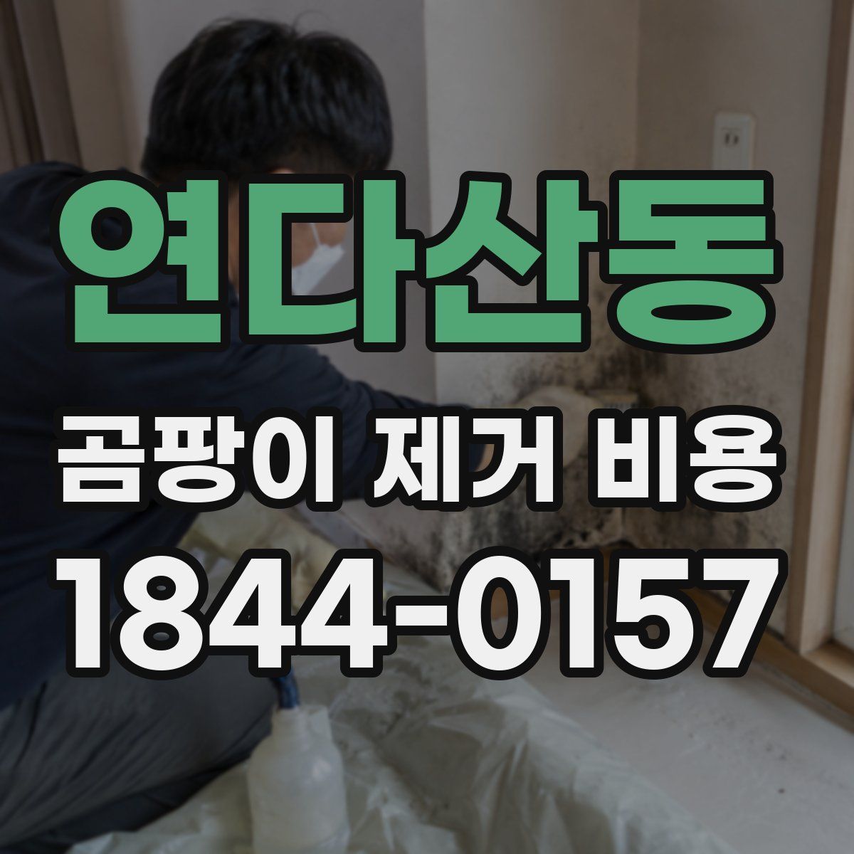 연다산동 곰팡이 제거 비용