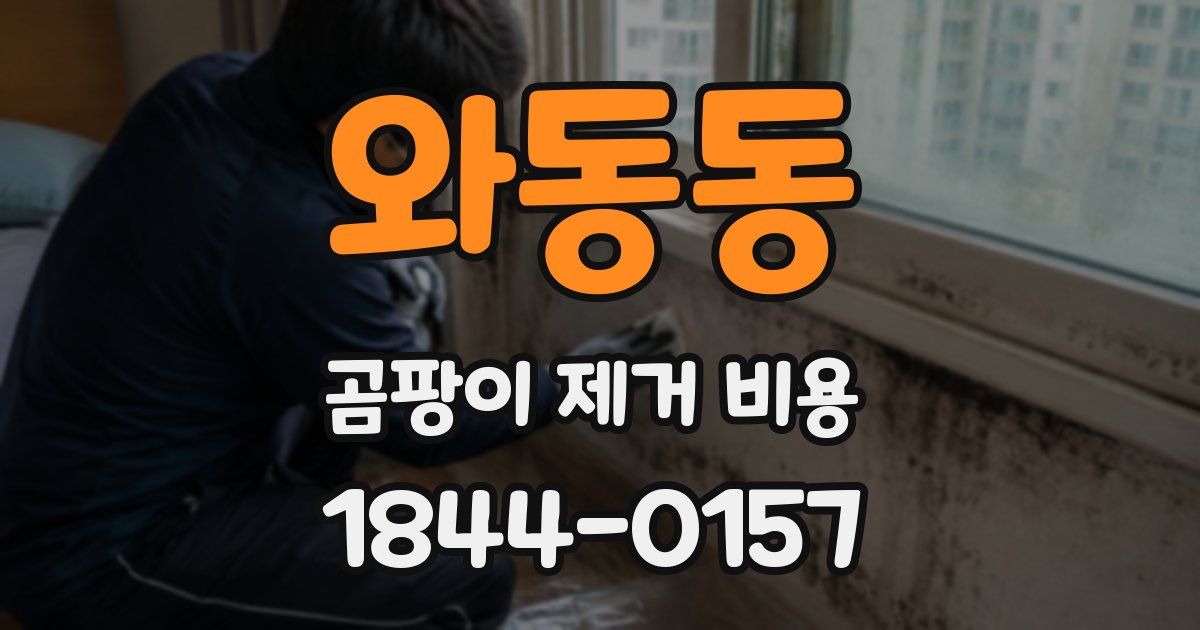 와동동 곰팡이 제거 비용