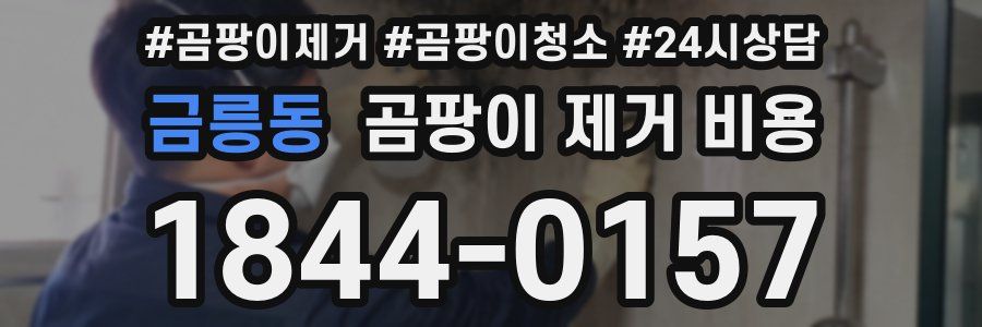 금릉동 곰팡이 제거 비용