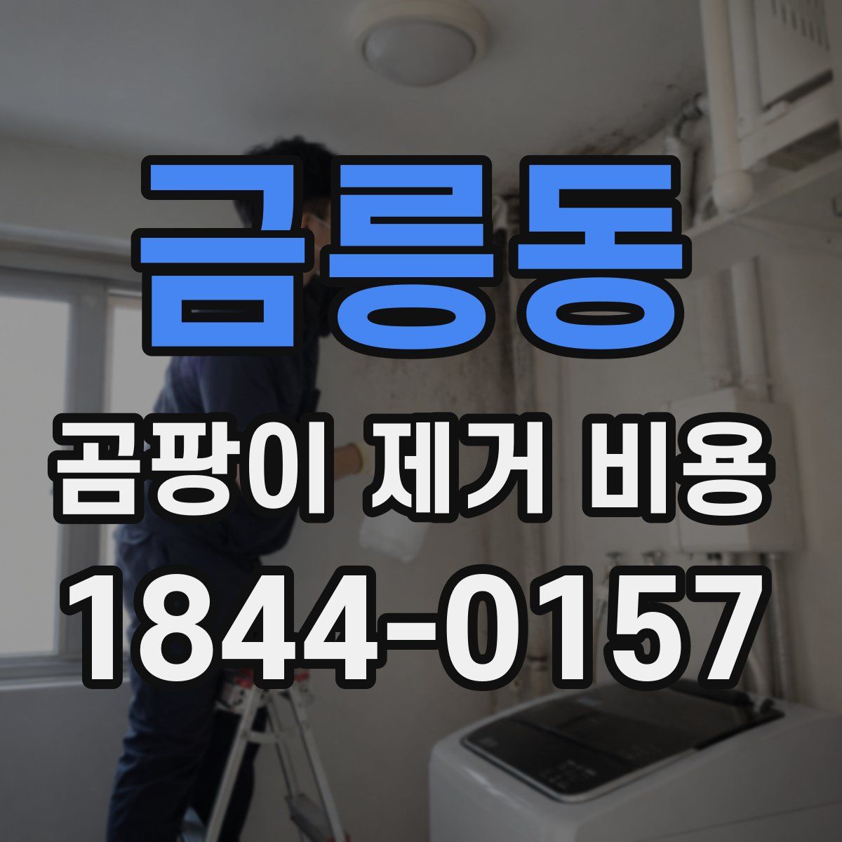 금릉동 곰팡이 제거 비용