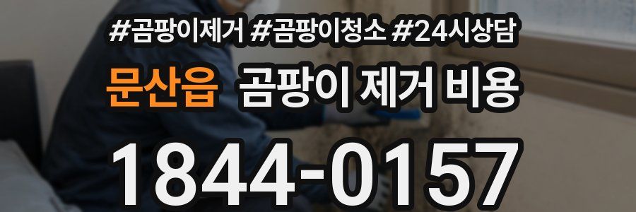 문산읍 곰팡이 제거 비용