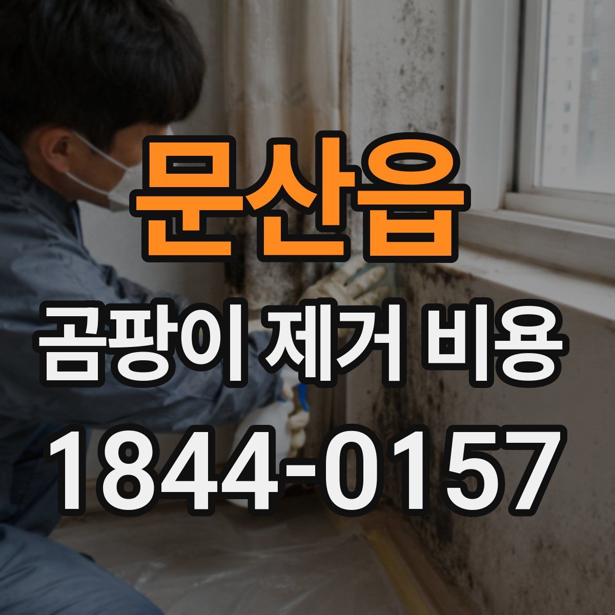 문산읍 곰팡이 제거 비용