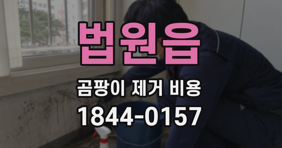 법원읍 곰팡이 제거 비용
