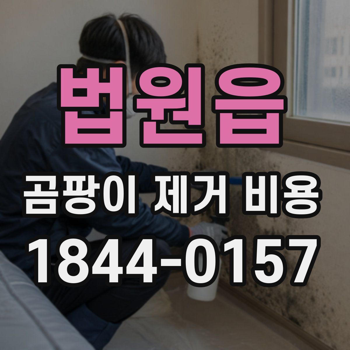 법원읍 곰팡이 제거 비용