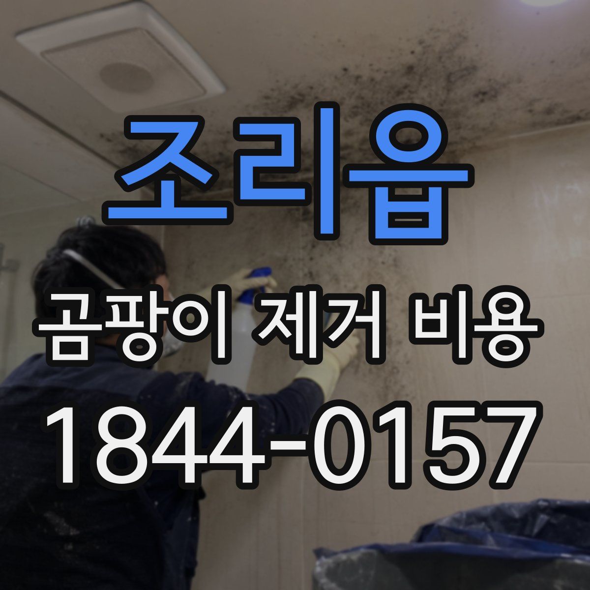조리읍 곰팡이 제거 비용
