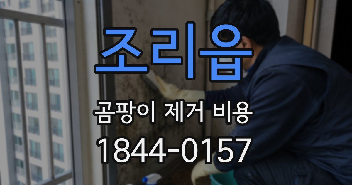 조리읍 곰팡이 제거 비용